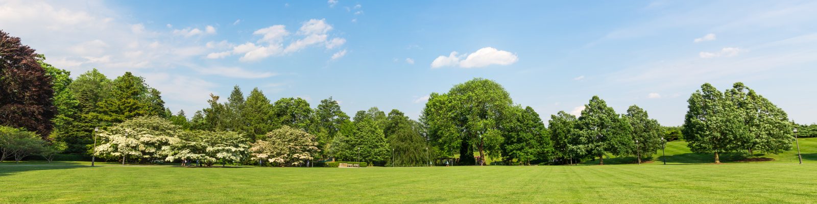 AHC31024 Certificate III in Parks and Gardens
