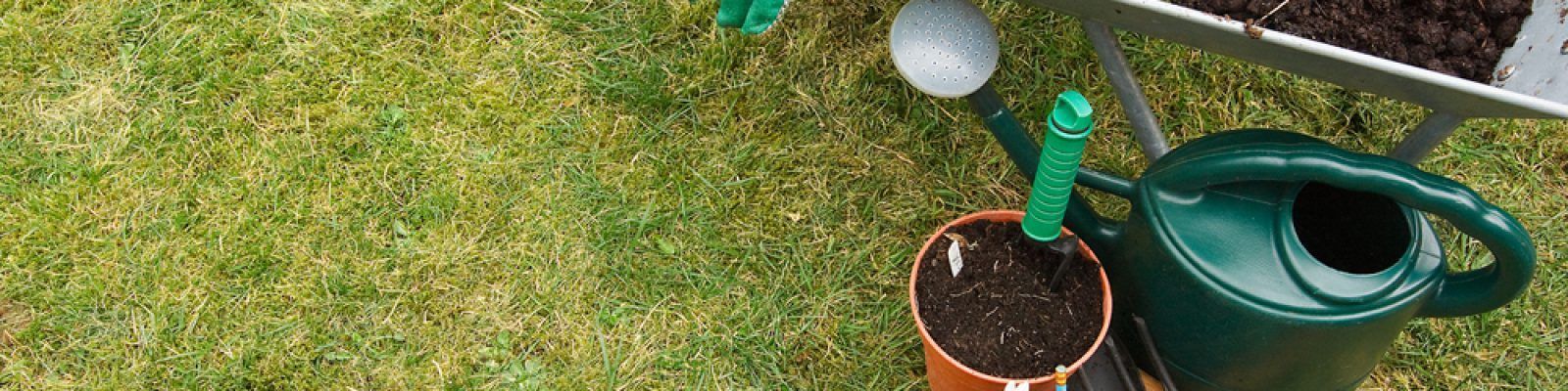 AHC20422 Certificate II in Horticulture