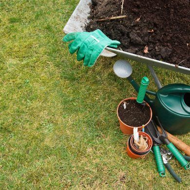 Gardening Tools and Equipment